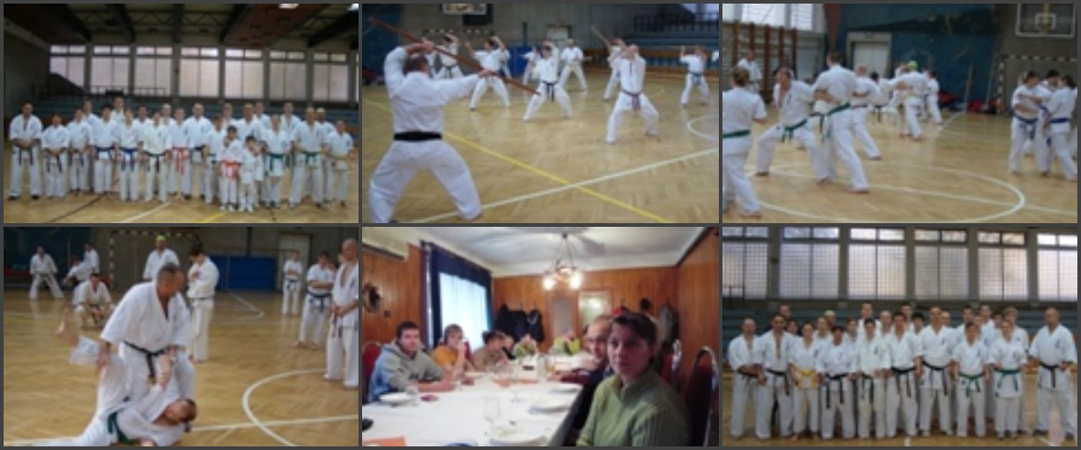 2009 Őszi Shibu Szeminárium.jpg