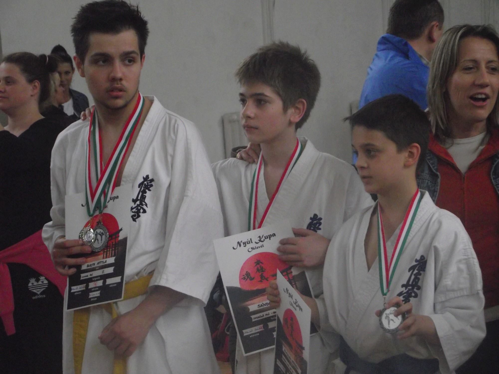 2014 Nyúl Kupa.jpg